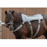 Equilibrium Massage Pad - 3 Length Sizes Available 